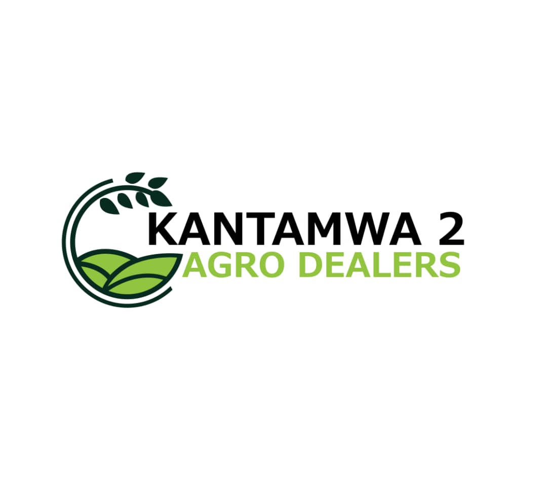 Kantamwa Logo